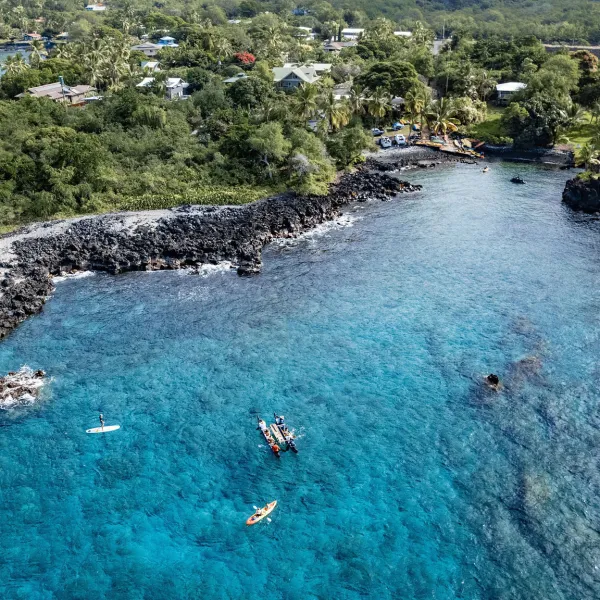 a group of people swimming in a body of water