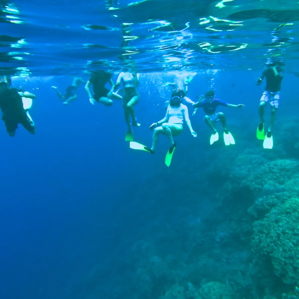 a group of people swimming in the water