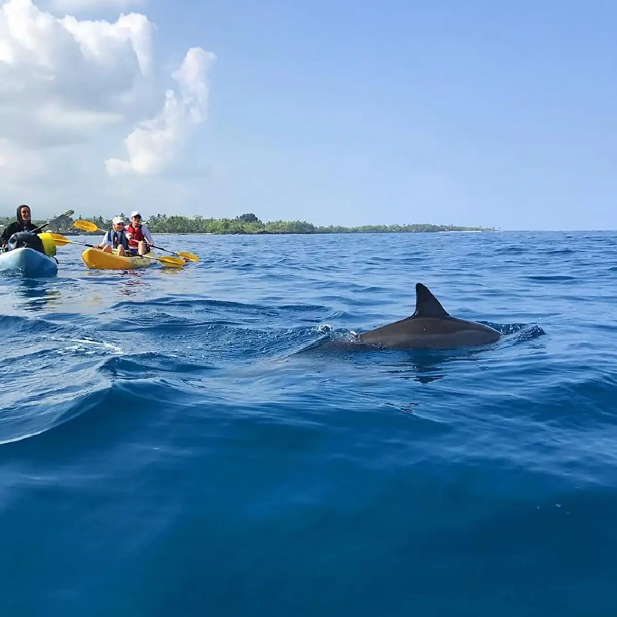 a group of people riding on the back of a boat in the water