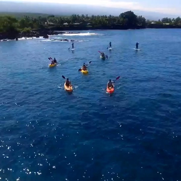 a group of people swimming in a body of water